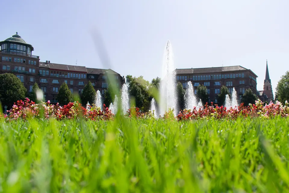 Friedrichsplatz in Mannheim mit Blumenbeeten und Springbrunnen