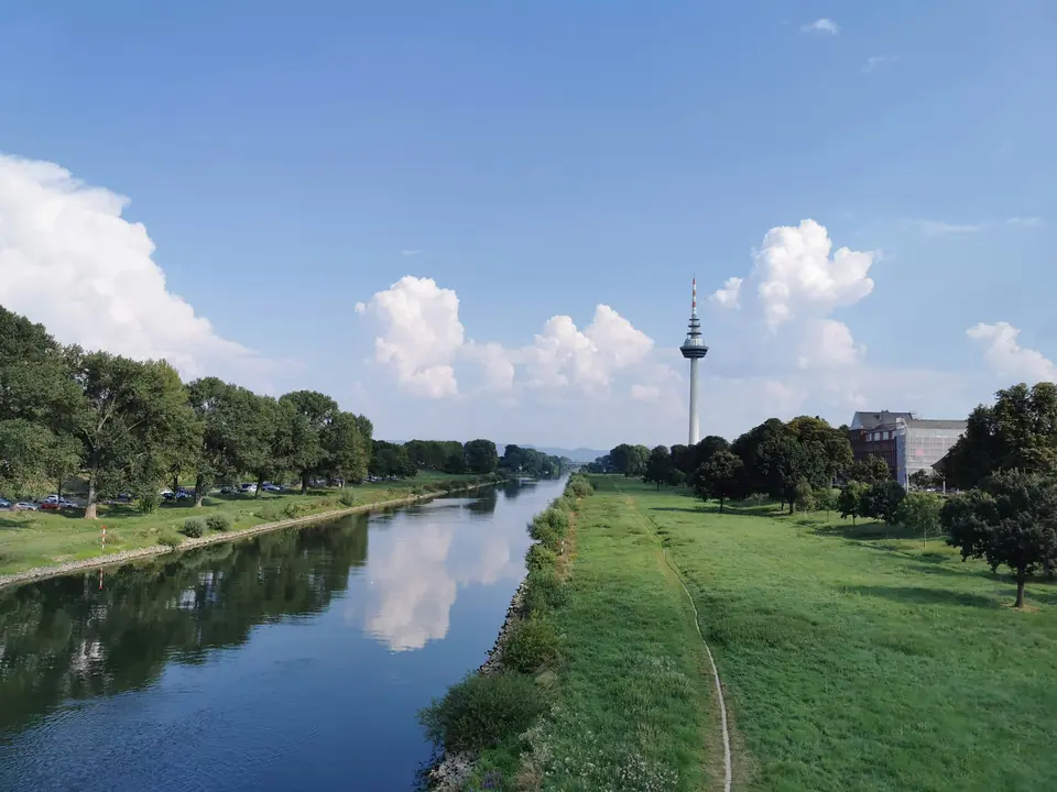 Neckarwiesen in Mannheim mit Fernmeldeturm